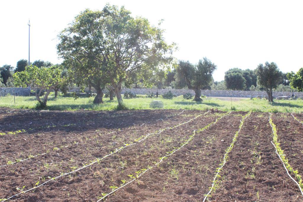 Masseria Valente Ostuni Eksteriør bilde