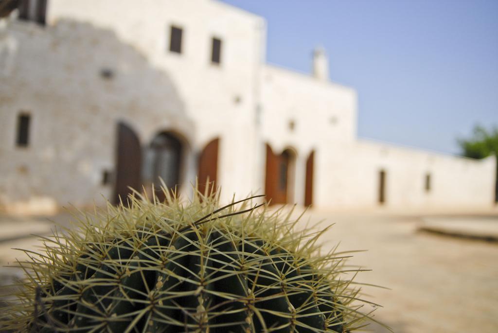 Masseria Valente Ostuni Rom bilde